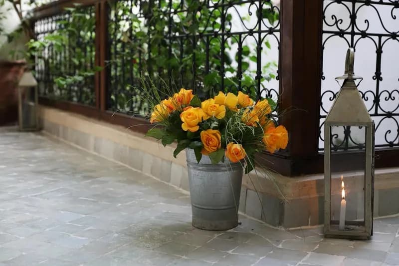 General view, Riad White Flowers, Marrakech
