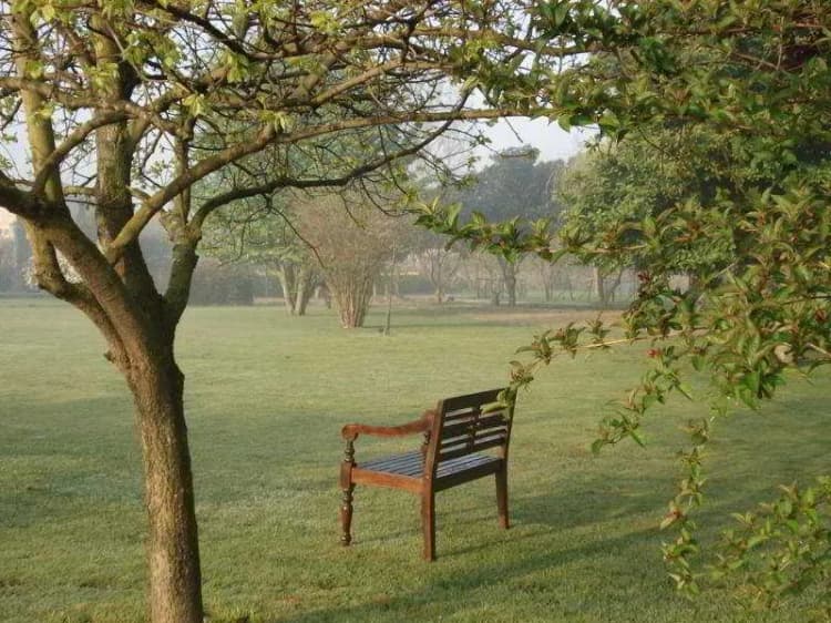 General view, Quinta das Alfaias - Turismo Rural, Porto