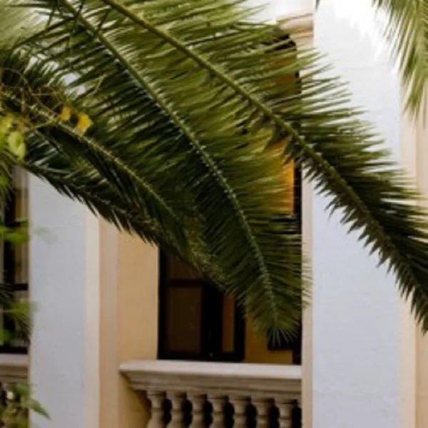 General view, Born, Majorca