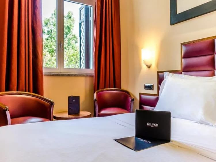 DOUBLE SINGLE USE STANDARD Room, Silver, Milan