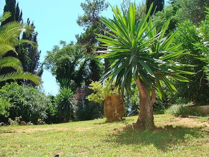 General view, Alexandros&Gerekos, Corfu