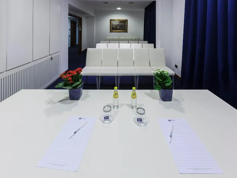 Conferences, Lhp Napoli Palace & Spa, Naples