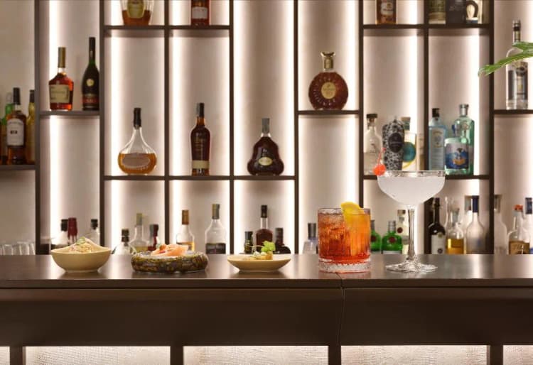 Bar, Grand Hotel Palatino, Rome