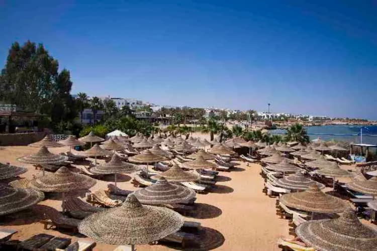 Beach, Xperience St. Georges Homestay, Red Sea Riviera
