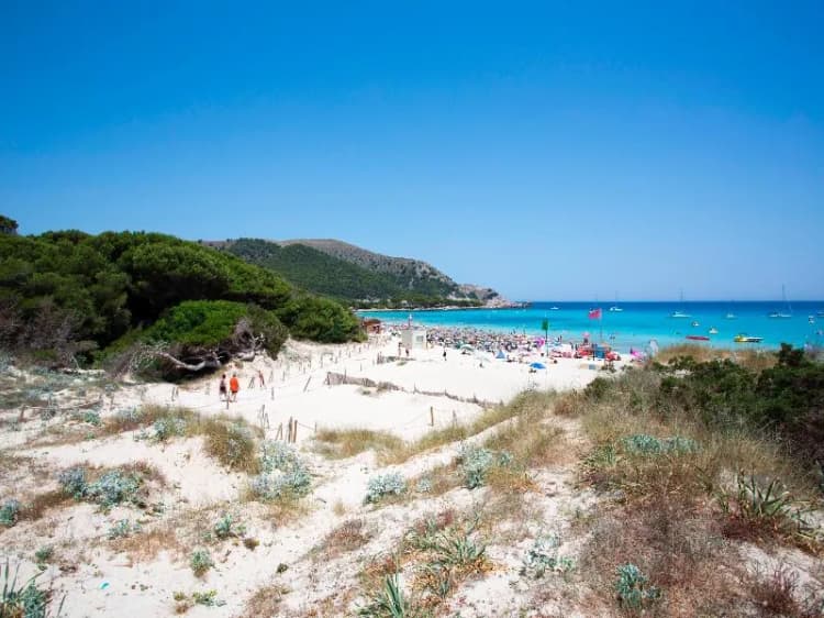 Beach, Guya Wave, Majorca