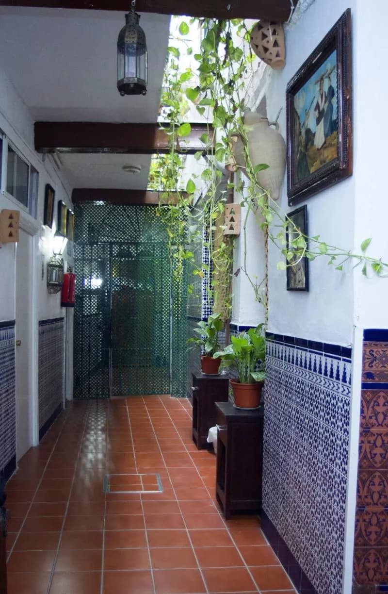 General view, Pension Santa Maria La Blanca, Seville