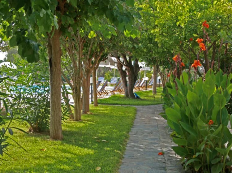 General view, Pythos Studios & Appartments, Kefallinia