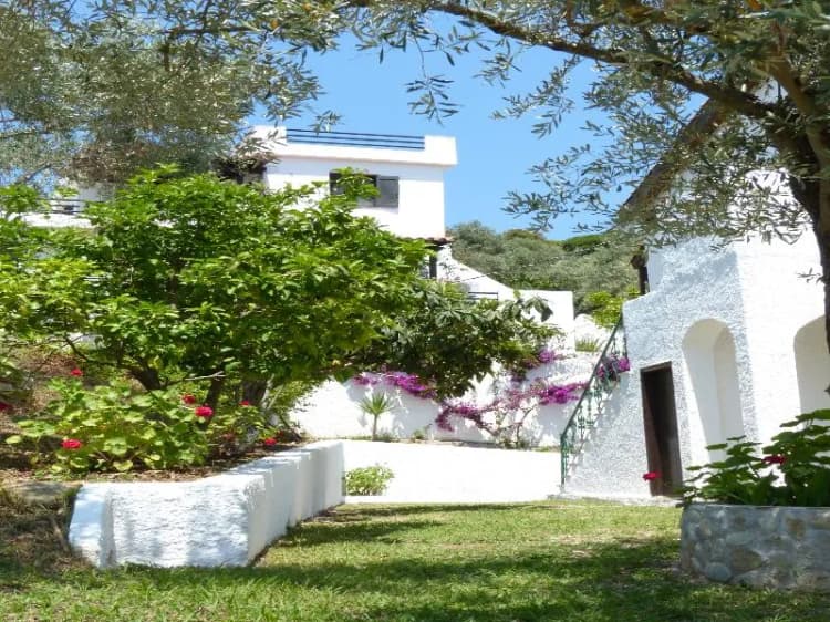General view, Katerina Apartments, Skiathos