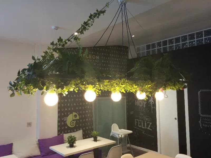 Bar, Chameleon Hostel Alicante, Costa Blanca
