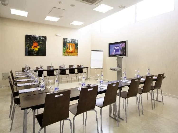 Conferences, Occidental Madrid Este, Madrid