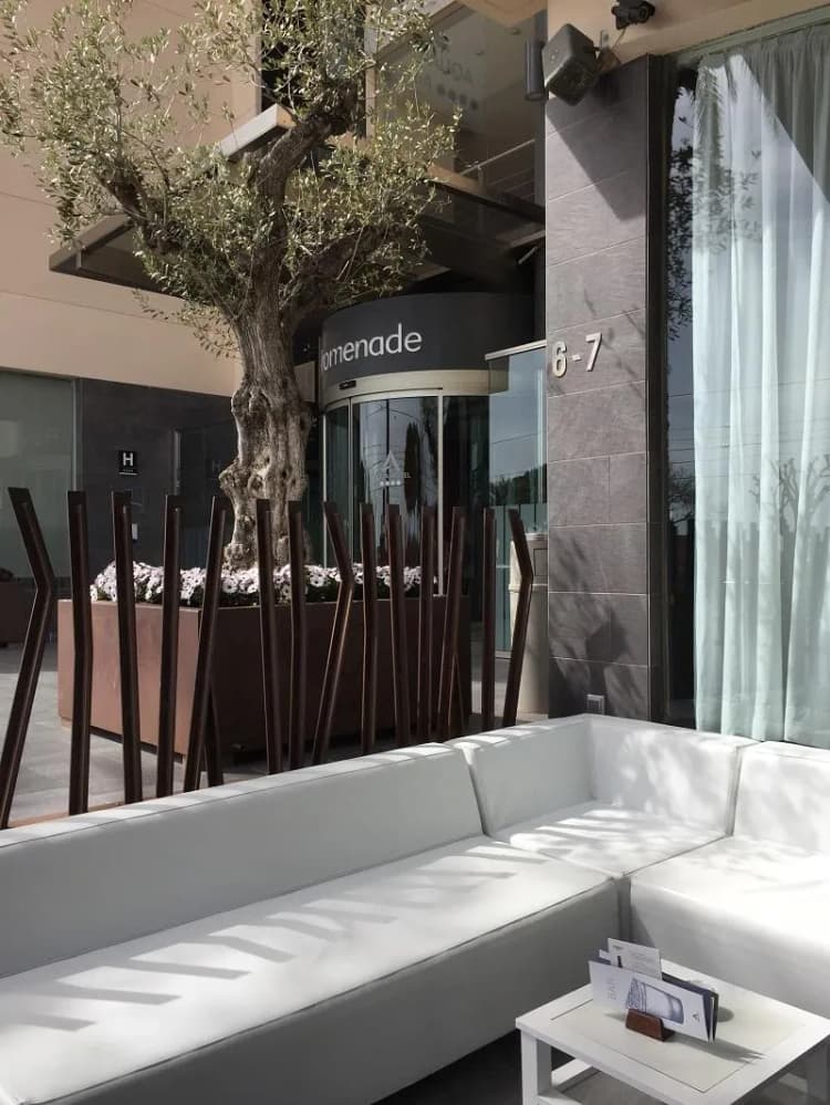 Bar, Aqua Hotel Promenade & Spa****S, Costa Brava
