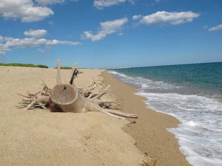 Beach, Baia Marina, Olbia