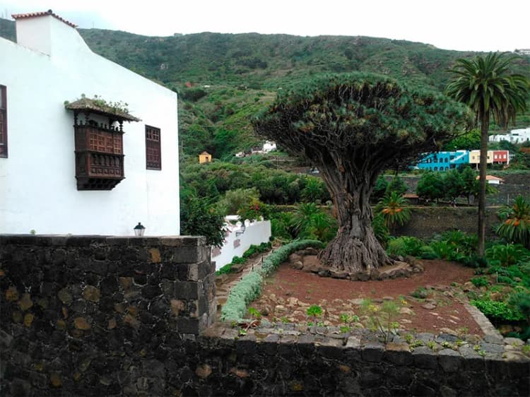 General view, North Coast Apartments, Tenerife