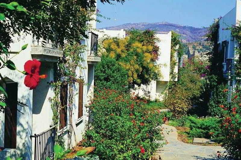 General view, L'Ambiance, Bodrum
