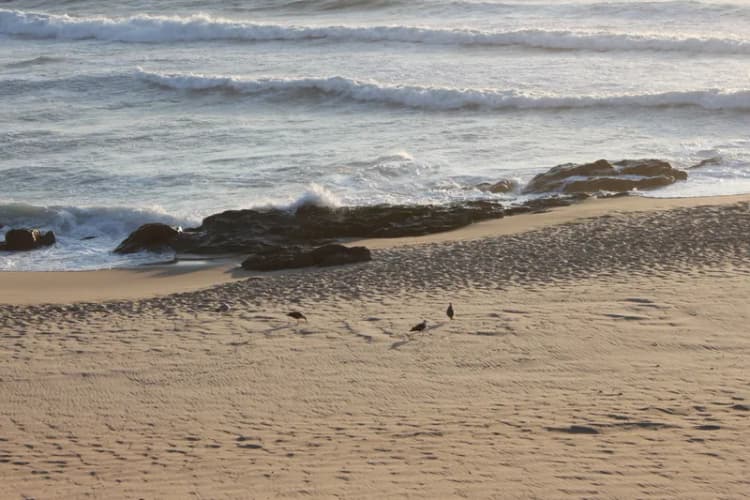 Beach, Quasar, Porto