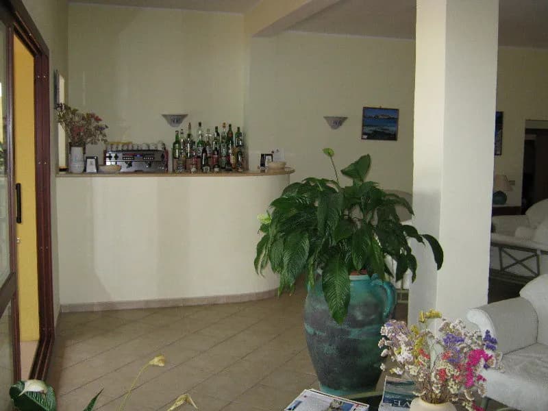 Bar, Hotel Le Mimose, Olbia