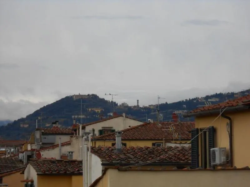 General view, Hotel Aline, Florence