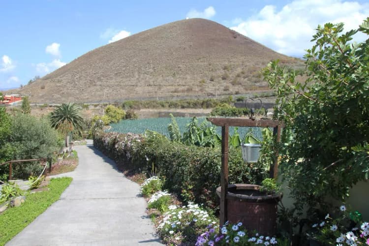 General view, Finca Saroga, Tenerife