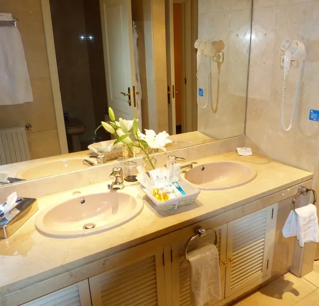 DOUBLE SINGLE USE STANDARD Room, La Moraleja, Madrid