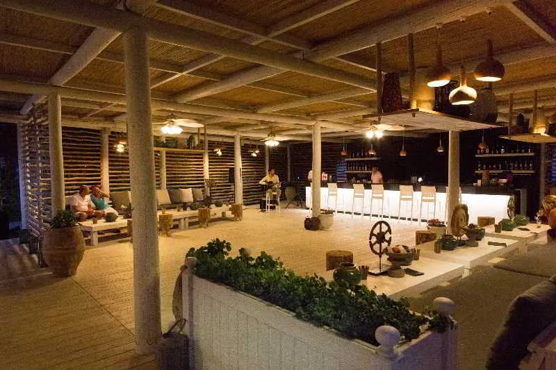 Bar, Paloma Grida, Antalya