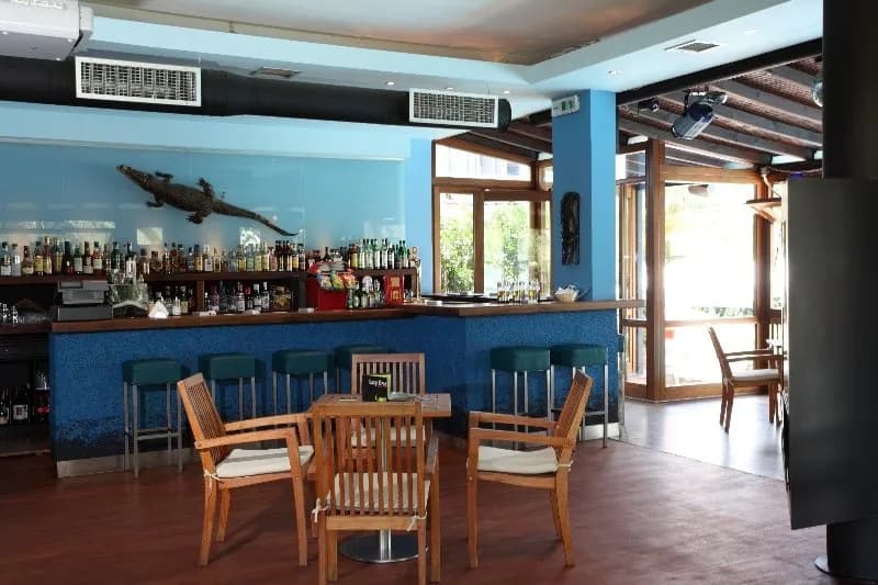 Bar, Hanioti Village, Halkidiki