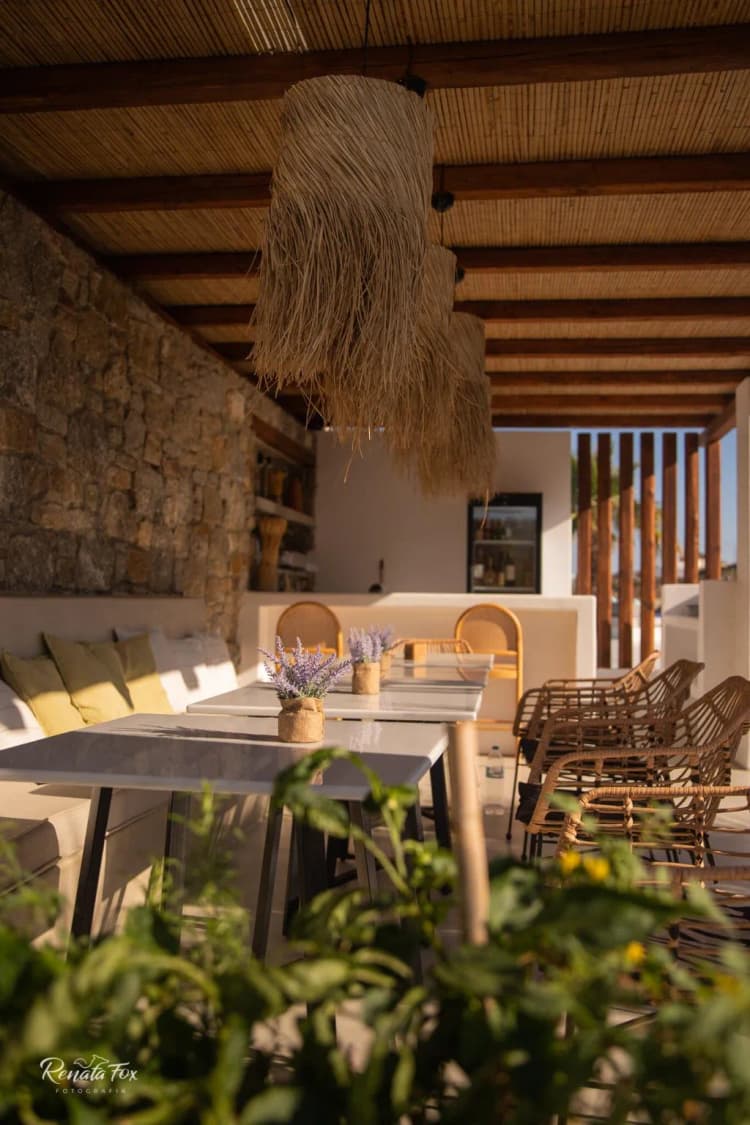 Bar, Myconian Theros, Mykonos