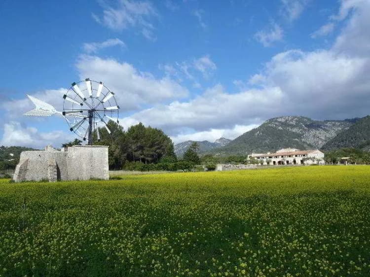 General view, Eco Hotel Rural & Spa Monnaber Nou, Majorca