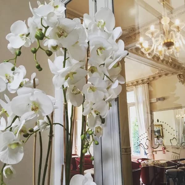 Bar, Grand Hotel Imperiale Resort & Spa, Milan