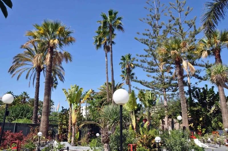 General view, San Valentin & Terraforpark, Gran Canaria