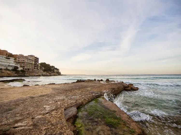 Beach, Be Live Adults Only Marivent, Majorca
