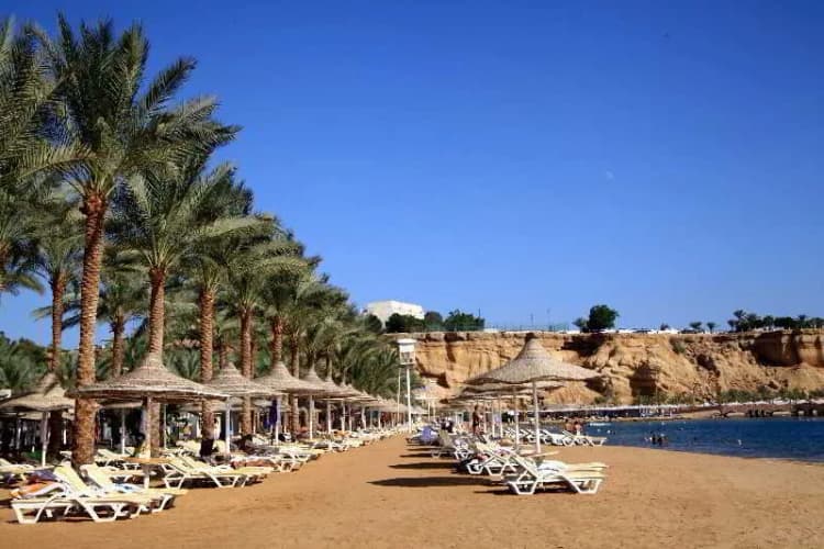 Beach, Dessole Seti Sharm Palm Beach Resort, Red Sea Riviera