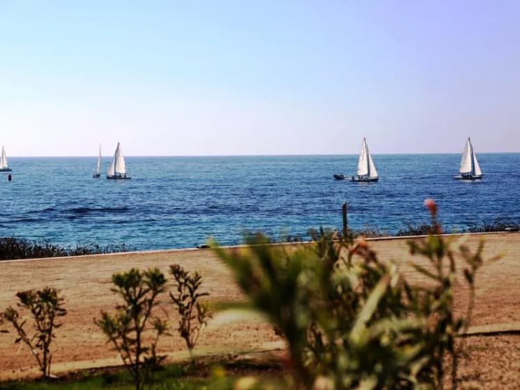 Beach, Amphora Suites, Cyprus