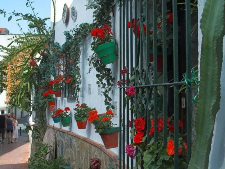 General view, Hostal Micaela, Costa Del Sol