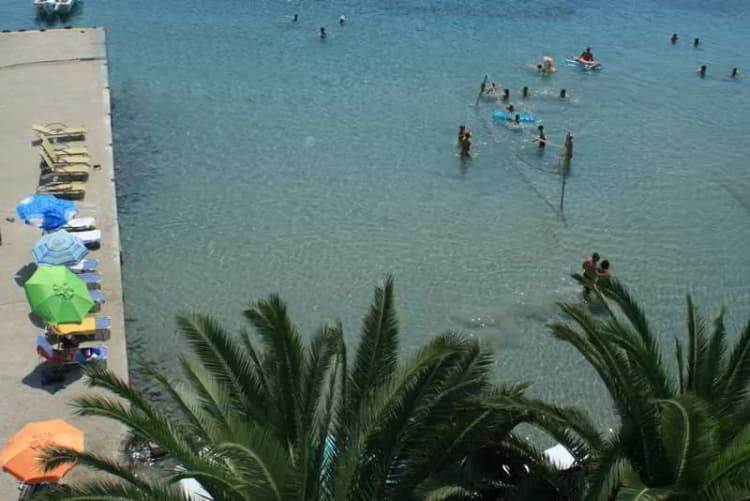 Beach, Dolfin, Athens