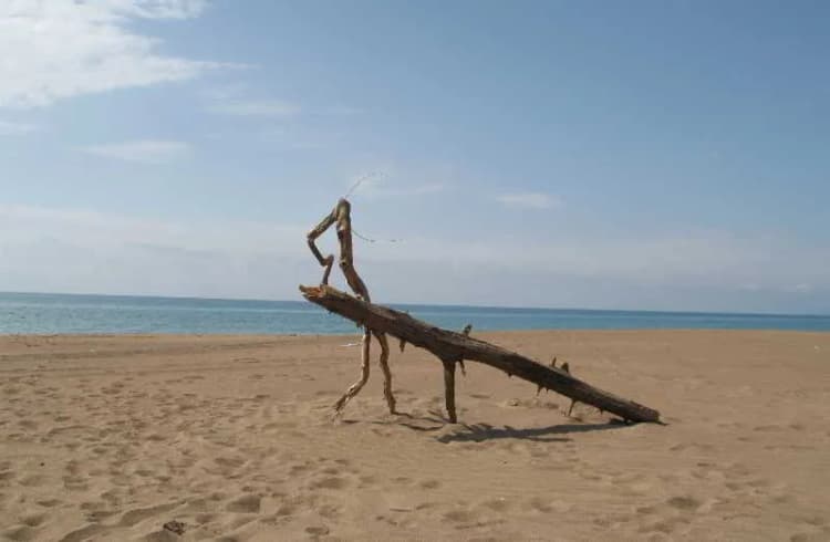 Beach, Athina, Kalamata