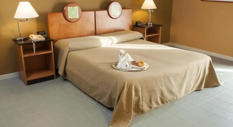 DOUBLE SINGLE USE STANDARD Room, Athenaeum Palermo, Palermo