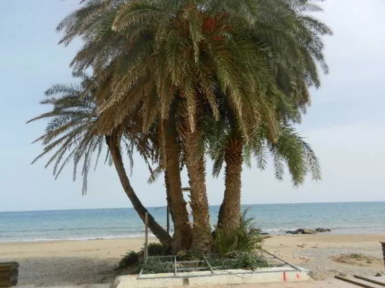 Beach, Sunshine Studios & Apartments, Crete