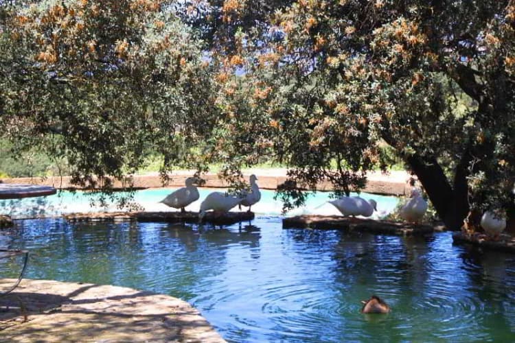 General view, Finca Los Pastores, Costa Del Sol