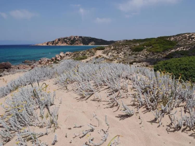 Beach, Residence Lu Lamoni Costa Nord, Olbia