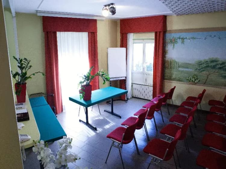 Conferences, Mennini, Milan