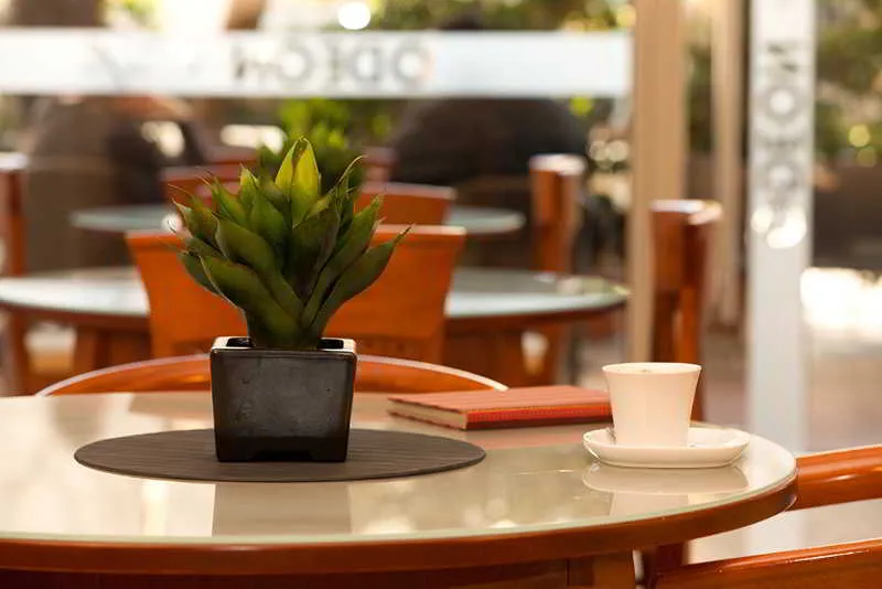 Bar, Odeon, Athens