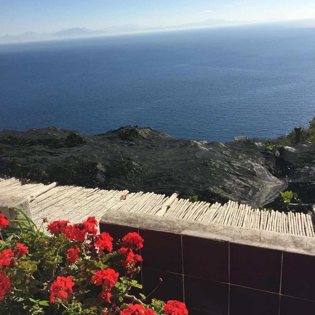 General view, B&B I Limoni, Naples