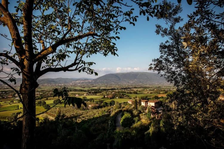 General view, Poggio Degli Olivi, Perugia