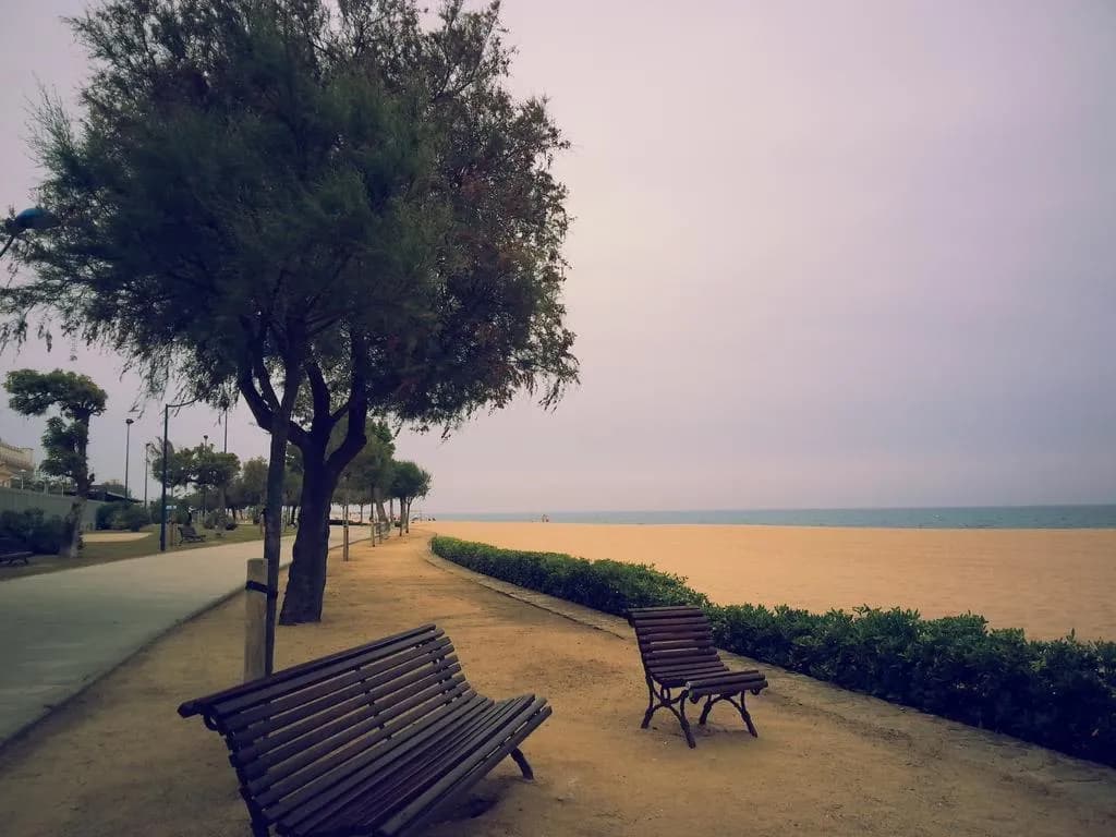 Beach, Iris, Costa Brava