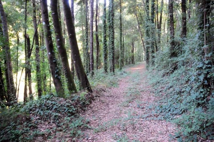 General view, Quinta Das Escomoeiras, Porto