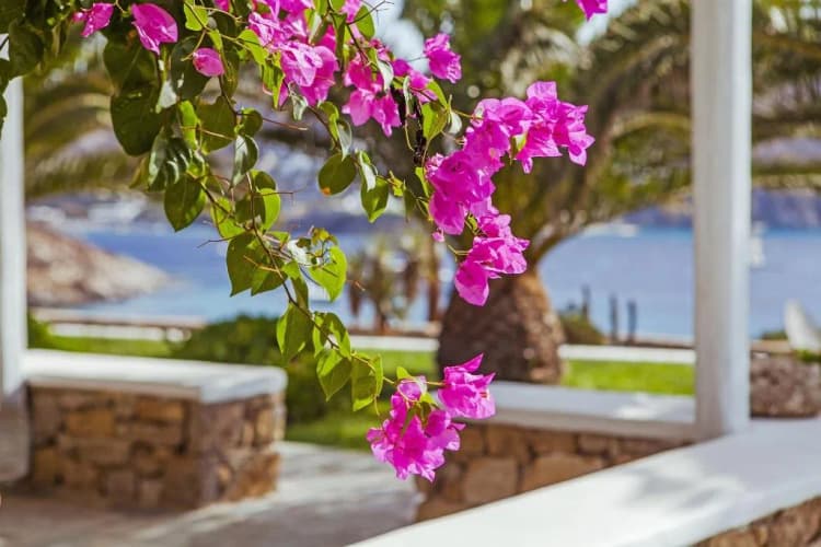 General view, Sea View Residence, Mykonos