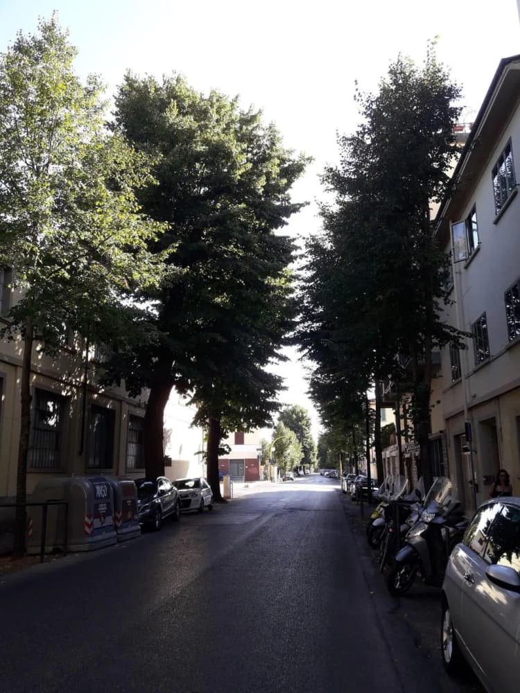 General view, Dimora Del Magnifico, Florence