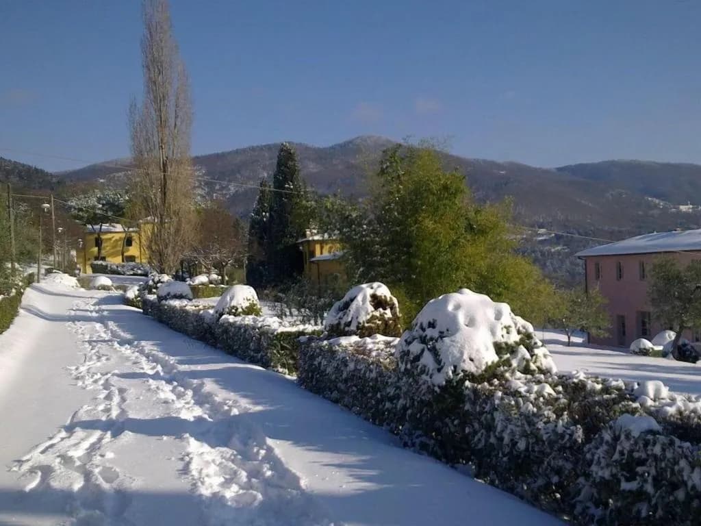 General view, Il Trebbiolo, Florence