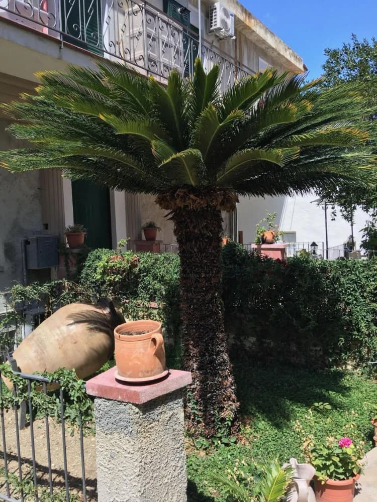 General view, B&B Arte&Mare, Catania