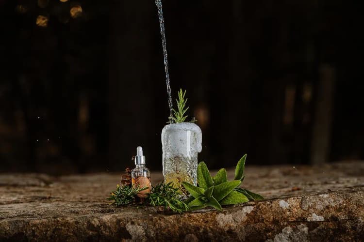 Bar, Vallicciola Nature Hotel, Alghero